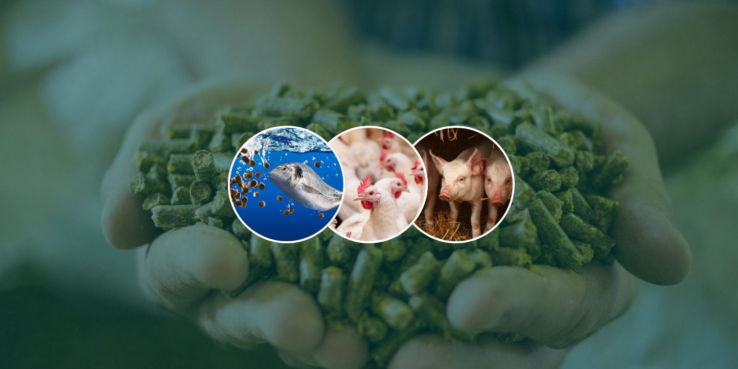 Nutrition Workshops banner